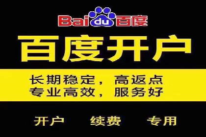 行业领先企业的SEM推广策略揭秘