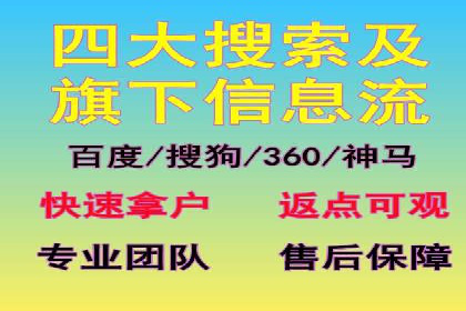 SEM推广案例：打造高效广告投放策略